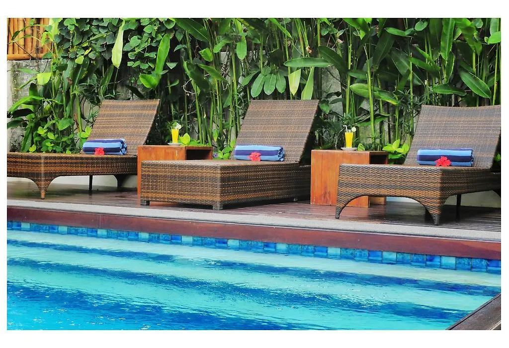 Arana Suite-1