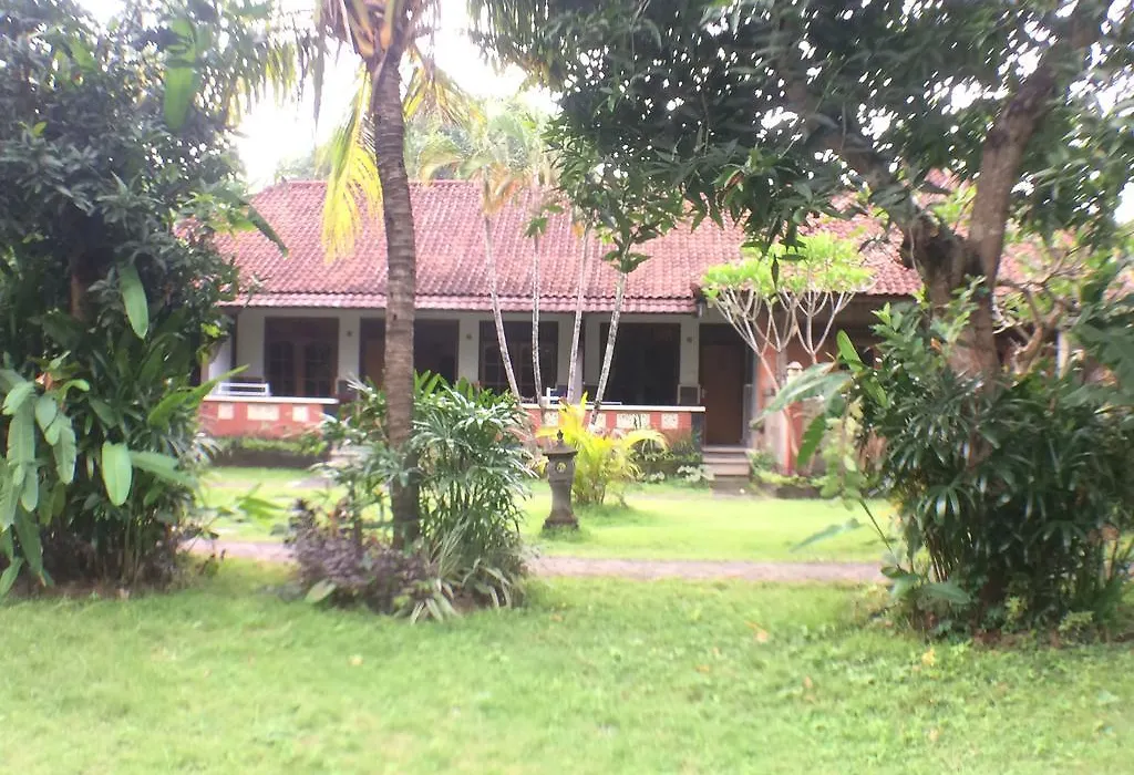 Mangga Bali Inn-1